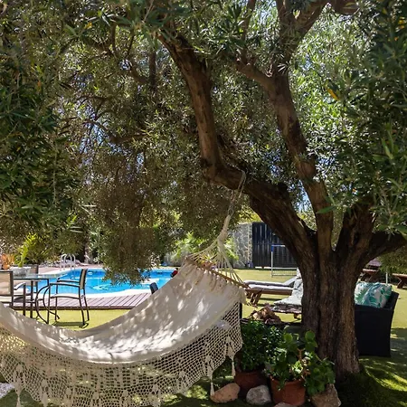 Pool, Sauna, Pool Table 13 Guests Villa Pilar de la Horadada